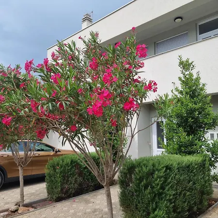 Jozic Appartement Seline